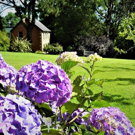 Ffynnon Fendigaid Bed And Breakfast Aberporth Exterior photo